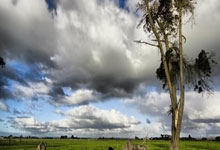 熊猫体育-亚洲杯爆冷夜！当“灭霸詹”空降绿茵场，勇士王朝竟在足球圈复活？