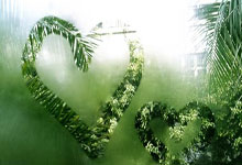 熊猫体育-亚洲杯爆冷夜！当“灭霸詹”空降绿茵场，勇士王朝竟在足球圈复活？