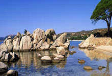 熊猫体育官方-西甲焦点战：凯尔特人vs拜仁，争议绝杀引爆足球江湖